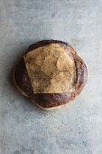 Tourte de Meule (French sourdough country bread)