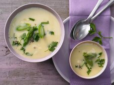 Light cheese soup with green asparagus