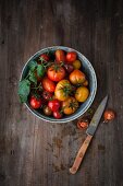 Verschiedene Tomatensorten in Schälchen auf Holzuntergrund (Aufsicht)