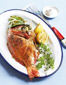 Grilled rose fish with lemon and herbs