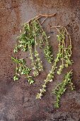 Fresh sprigs of thyme with flowers on a metal surface