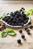 A plate of freshly picked blackberries with leaves