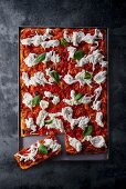 Pizza mit Tomaten, Burrata und Basilikum auf Backblech