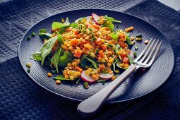 Roter-Linsen-Salat mit Radieschen