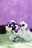 Crystal vase of violas