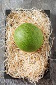 A watermelon on a bed of straw (seen from above)