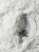A plate with a fir twig in the snow