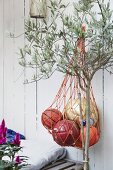 Balls in net hung on white board wall next to small olive tree