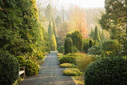 Weg durch grünen Garten mit Bäumen, Büschen und Sträuchern