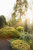 Naturnaher Garten mit Bäumen, Büschen und Sträuchern