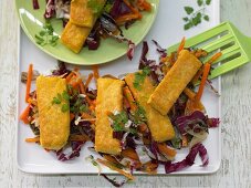 Fried polenta strips on a bed of carrot and radicchio