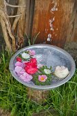 Water pouring into bowl of floating flowers