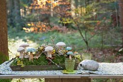 Wooden toadstools and moss on tray on picnic table in woods
