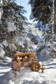 Collection of dried flowers in treasure chest in winter woodland