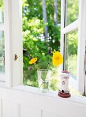 Flowers in drinking glass and lighthouse ornament on windowsil with view into garden