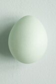 An egg with a pale green shell