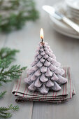 Christmas-tree candle and conifer twigs