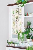 Weißes Küchenbuffet mit verschiedenen Grünpflanzen und Pflanzen-Illustrationen dekoriert