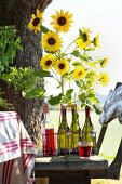 Wine bottles used as vases for sunflowers in bottle carrier on rustic wooden bench