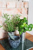 Herbs in tin cans and mortar and pestle against rustic brick wall
