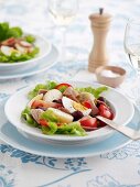 French Nicoise Salad