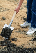 Soil preparation