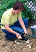 Planting a perennial bed: Soil preparation: 2