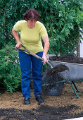 Planting a perennial bed: Soil preparation: 4