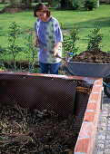 Planting of a vegetable garden in raised beds