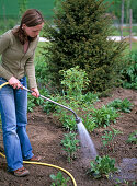 Planting a perennial bed (4/4)