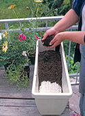 Balcony box with water storage