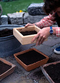 Cover seed with sieved soil