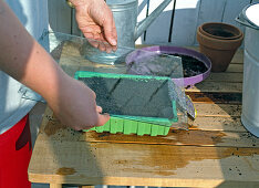 Cover seed with glass