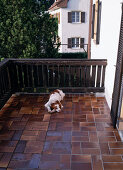 Balcony without flower decoration