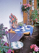 Breakfast balcony: Heliotropium, high trunk rose