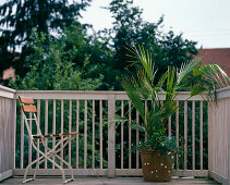 Balcony without pergola before