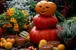 Halloween: Kürbismännchen auf der Terrasse