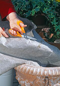 Place a fleece between the expanded clay and the soil to separate the plants.