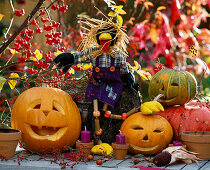 Halloween, funny hollowed out pumpkin heads with ravens