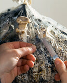 Oyster mushroom cultivation in plastic bag 5