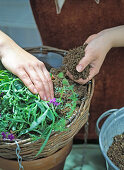 Plant hanging baskets