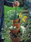 Planting a tower of pots (7/10)