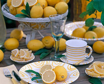 Citrus limon (Lemon9
