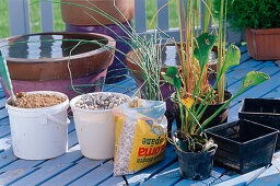 Create a water-plant balcony