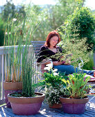 Create water-plant balcony, finished balcony