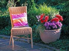 Before-and-after bed refreshment - wicker chair, terracotta pot with aster (Astern)