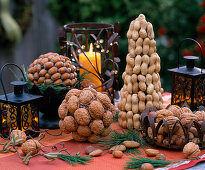 Walnut cone: Juglans (walnuts) (4/4). Peanut cone: Arachis (peanuts) (3/3).