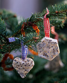 Birdseed for hanging - star and heart made of palm fat and various grains