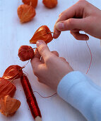 Physalis necklace (1/2). Wrap physalis (lanterns) with red wire to make a chain