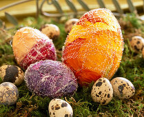 Ostereier mit Blütenblättern dekoriert (2/2). Eier mit verschiedenfarbigen Blüten